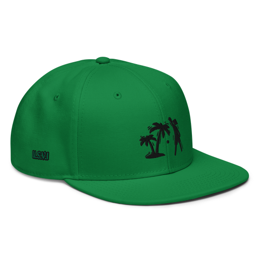 Green/Black VI Snapback Hat