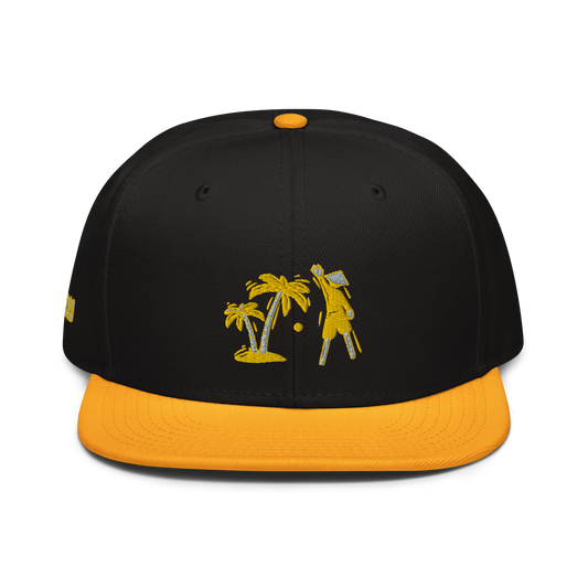 Yellow/Gray/Black VI Snapback Hat