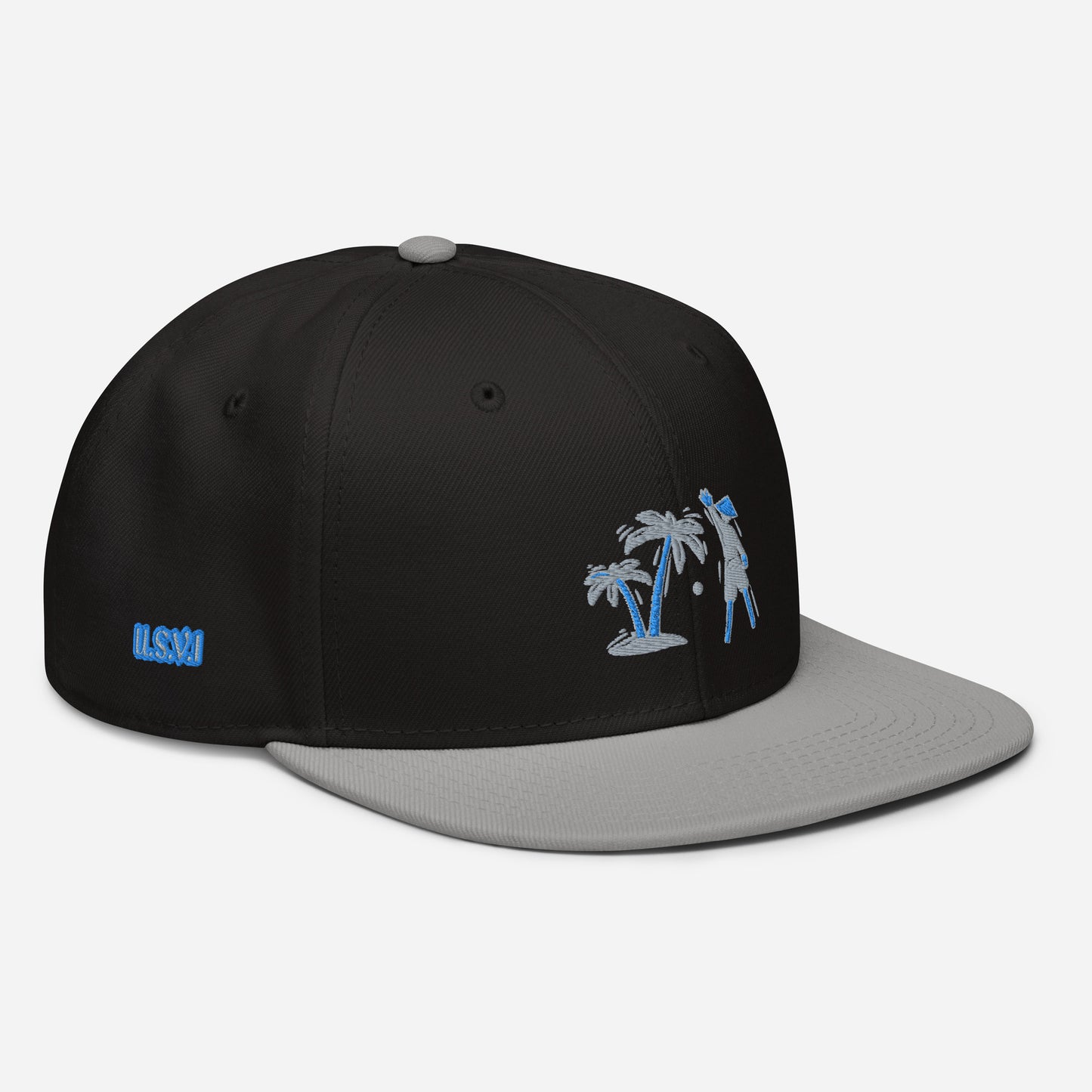 Gray/Black/Blue VI Snapback Hat