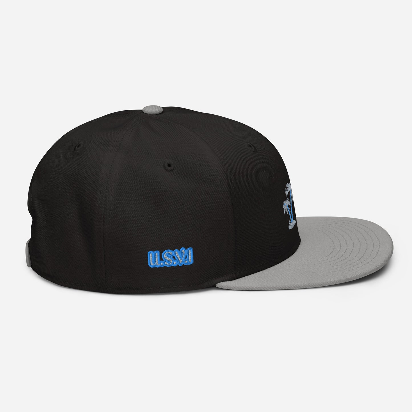 Gray/Black/Blue VI Snapback Hat